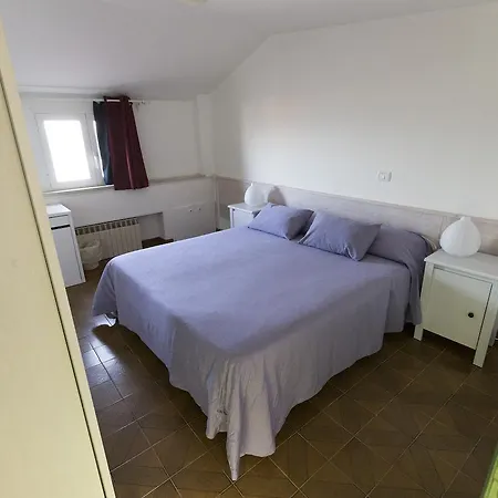 Typo Typica Пезаро