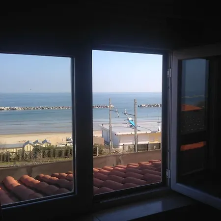 Typo Typica 3* Pesaro